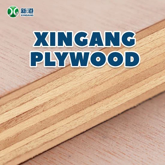 8mm/12mm/15mm Brich Plywood Çin Fabrikasında En İyi Kalite
