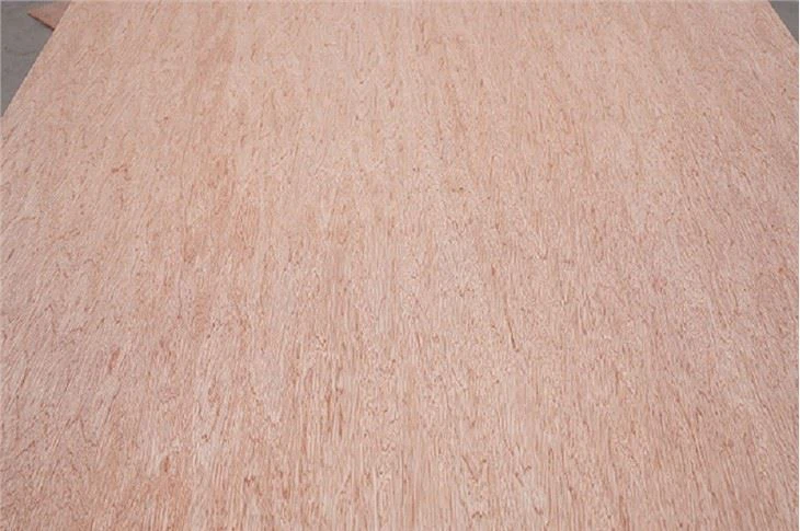 Bintangor Venner Plywood