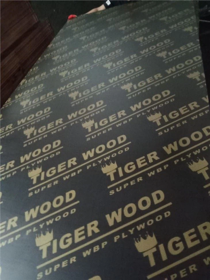Black Film Faced Plywood Shuttering Plywood