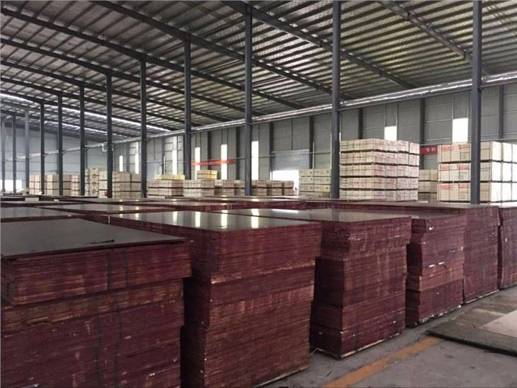 Construction Plywood For Building Materials