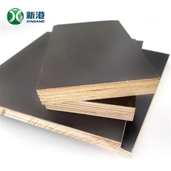 Film Faced Plywood Hot Press