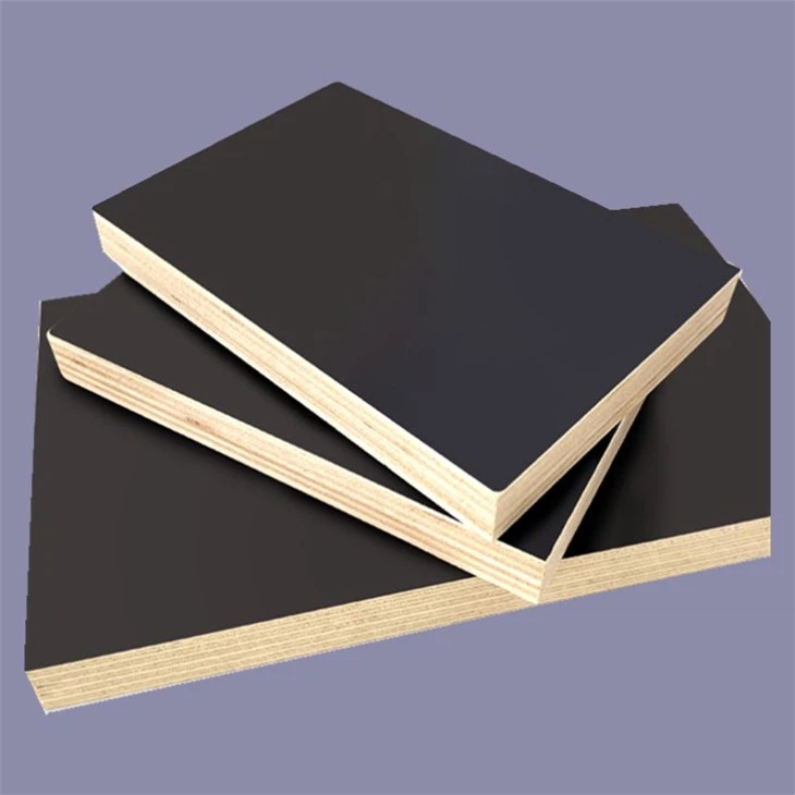 Film Faced Plywood Manufacturing Plant Shandong XG