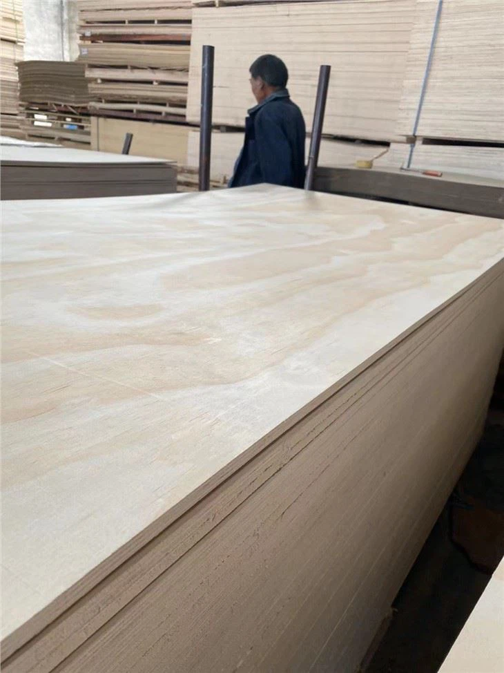 Full Birch Plywood Made in China