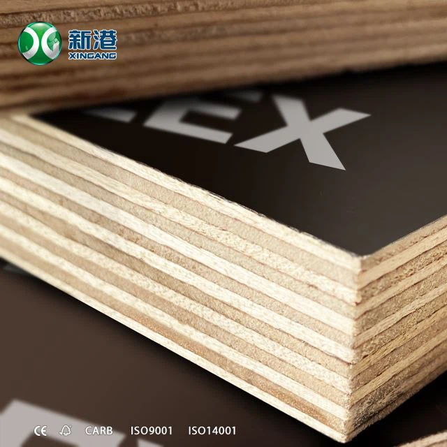 Hot Press Plywood Finger Joint Plywood Film Faced Plywood Poplar Core