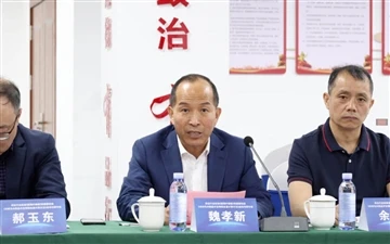 Xingang Group'ta Ormancılık Endüstrisi Standardı Ultra İnce Fiber Levha ve Ah...
