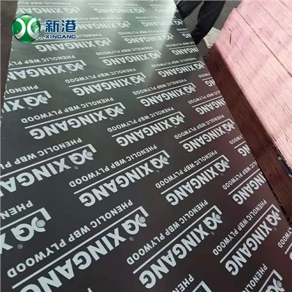 13 Katlı Fenolik 18mm Film Kaplamalı Laminat Kontrplak İçin Deniz Kontrplak