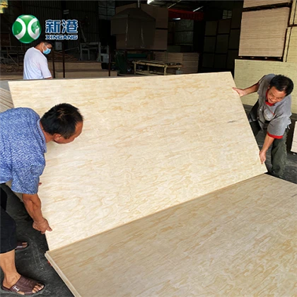 18mm Ticari Kontrplak Mobilya Kontrplak Ambalaj Kontrplak Bintangor Okoume Birch Için Yüz Geri