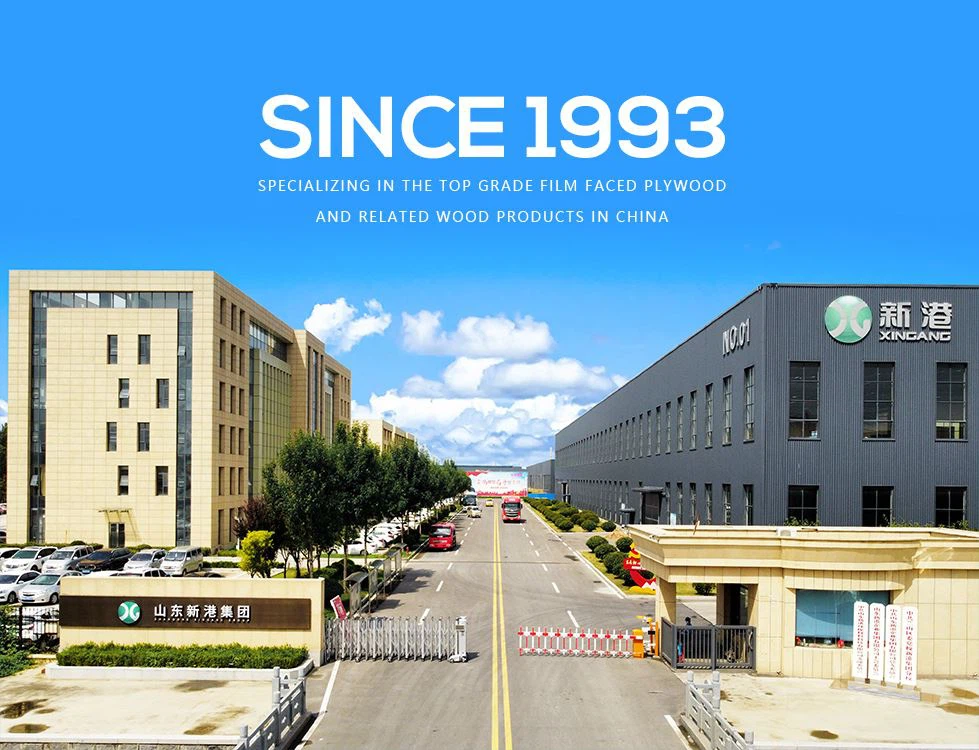 Şandong  Xingang  Grup