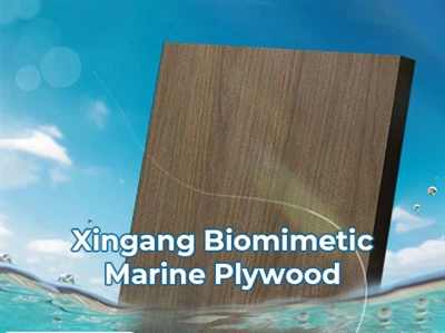 Xingang Biyomimetik Denizcilik Plywood Tuz Sprey Testini Geçer