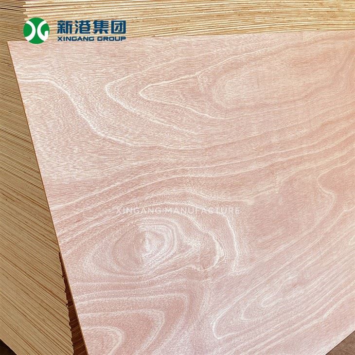Xingang Brand Okoume Plywood Poplar Core Two Times Hot Press Sanded Commercial Timber Board factory