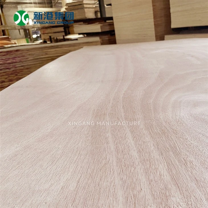 Xingang Brand Okoume Plywood Poplar Core Two Times Hot Press Sanded Commercial Timber Board high quality